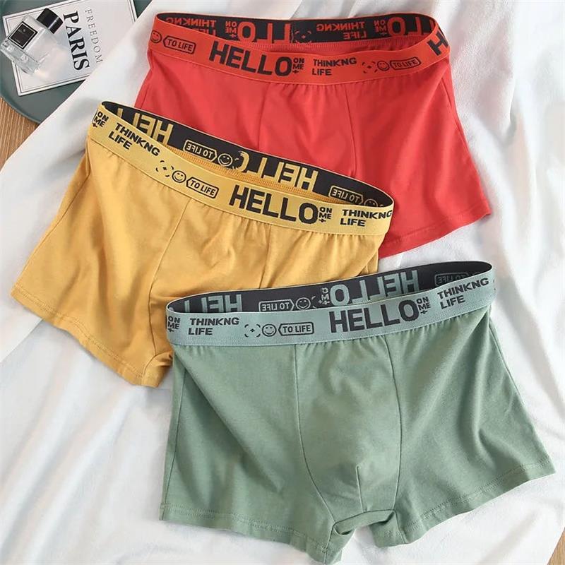 10 adet/erkek iç çamaşırı erke - Boxer Brief Pack Cotton incelemesi ve fiyatı