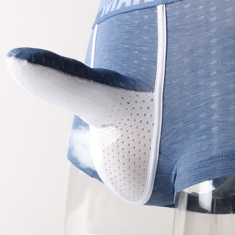 Erkek Buz İpek Boxer Külotları - Mesh Sport Boxer incelemesi ve fiyatı