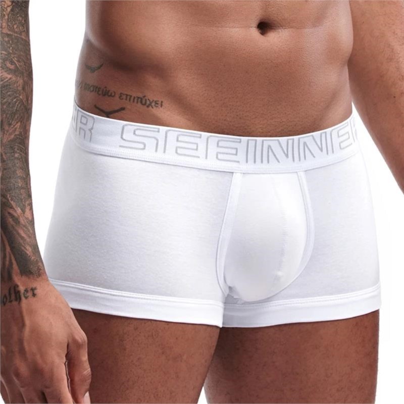 Seeinner Erkek baksır şort Pam - Boxer Brief Pack Cotton incelemesi ve fiyatı
