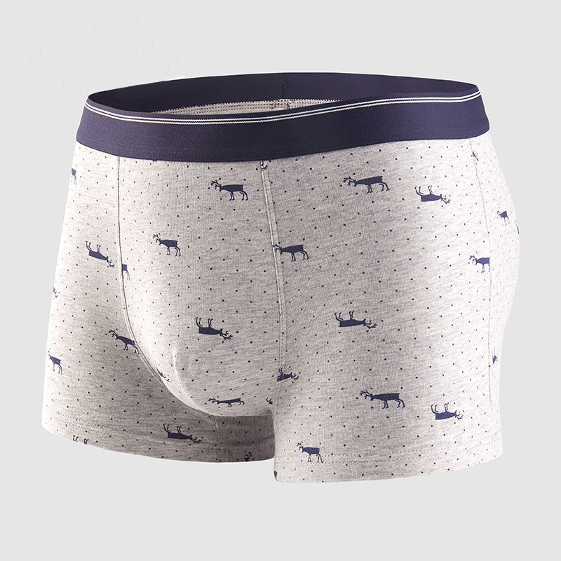4 adet erkek külot seksi şort  - Boxer Brief Pack Cotton incelemesi ve fiyatı