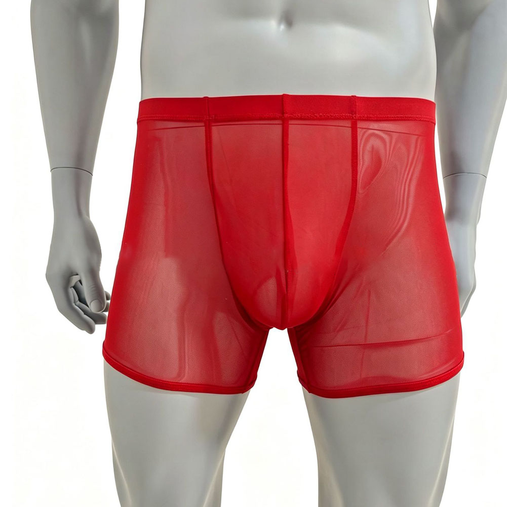 Erkekler Örgü Şeffaf Ultra-inc - Long Leg Trunk Men incelemesi ve fiyatı