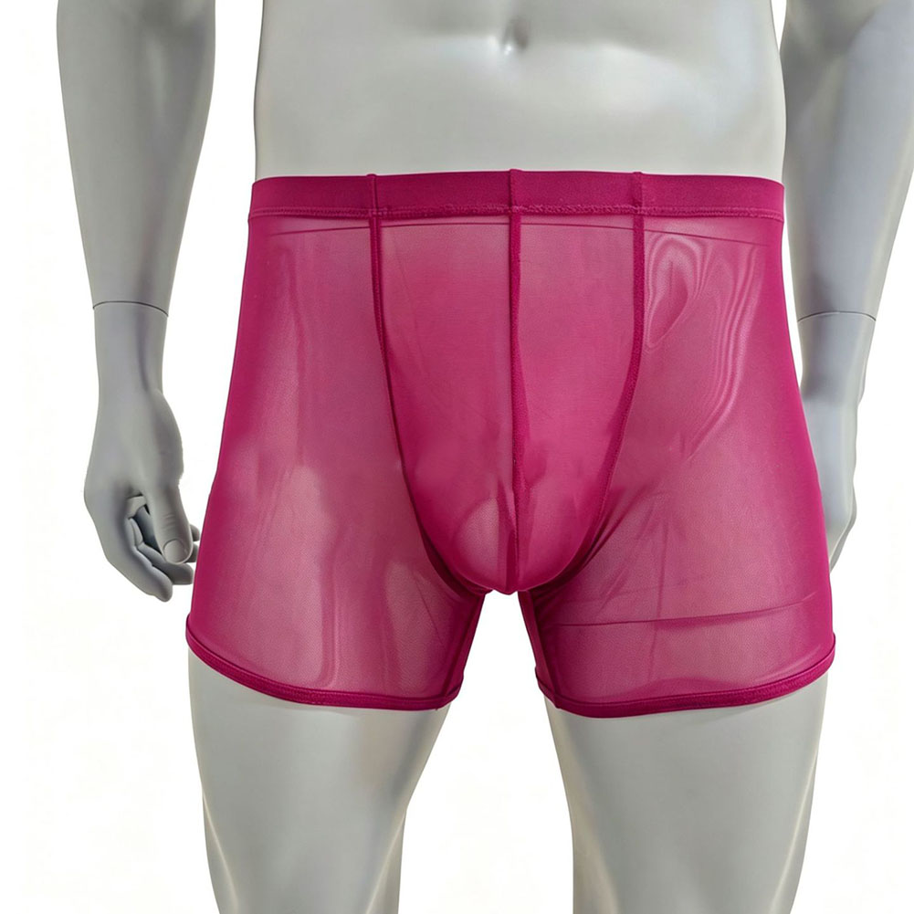 Erkekler Örgü Şeffaf Ultra-inc - Long Leg Trunk Men incelemesi ve fiyatı
