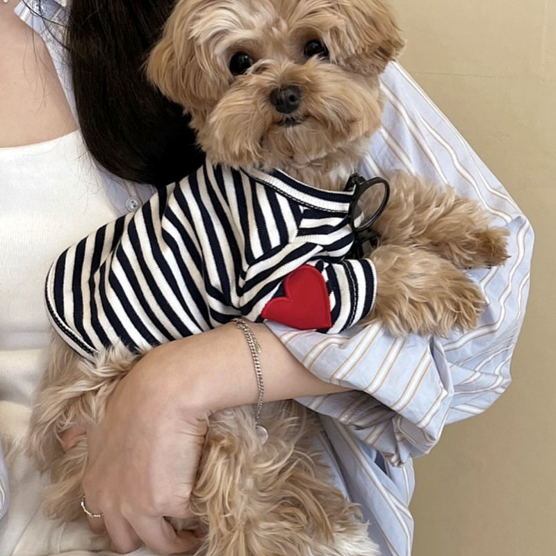 Küçük Köpekler İçin Köpek Yele - Sleeveless Undershirt incelemesi ve fiyatı